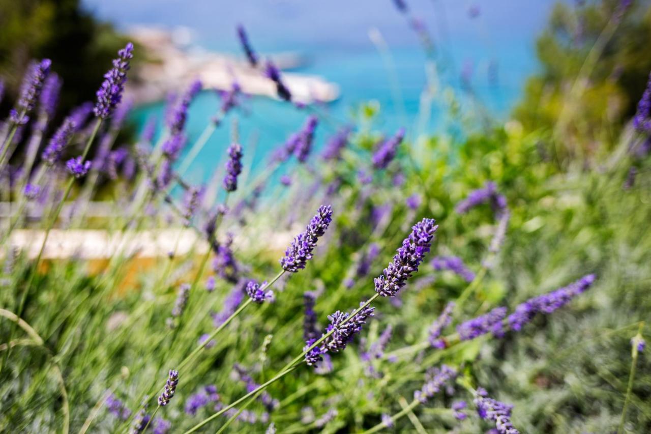 Blue Bay Residence Hvar Town Eksteriør billede