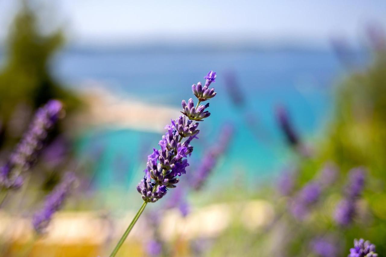 Blue Bay Residence Hvar Town Eksteriør billede